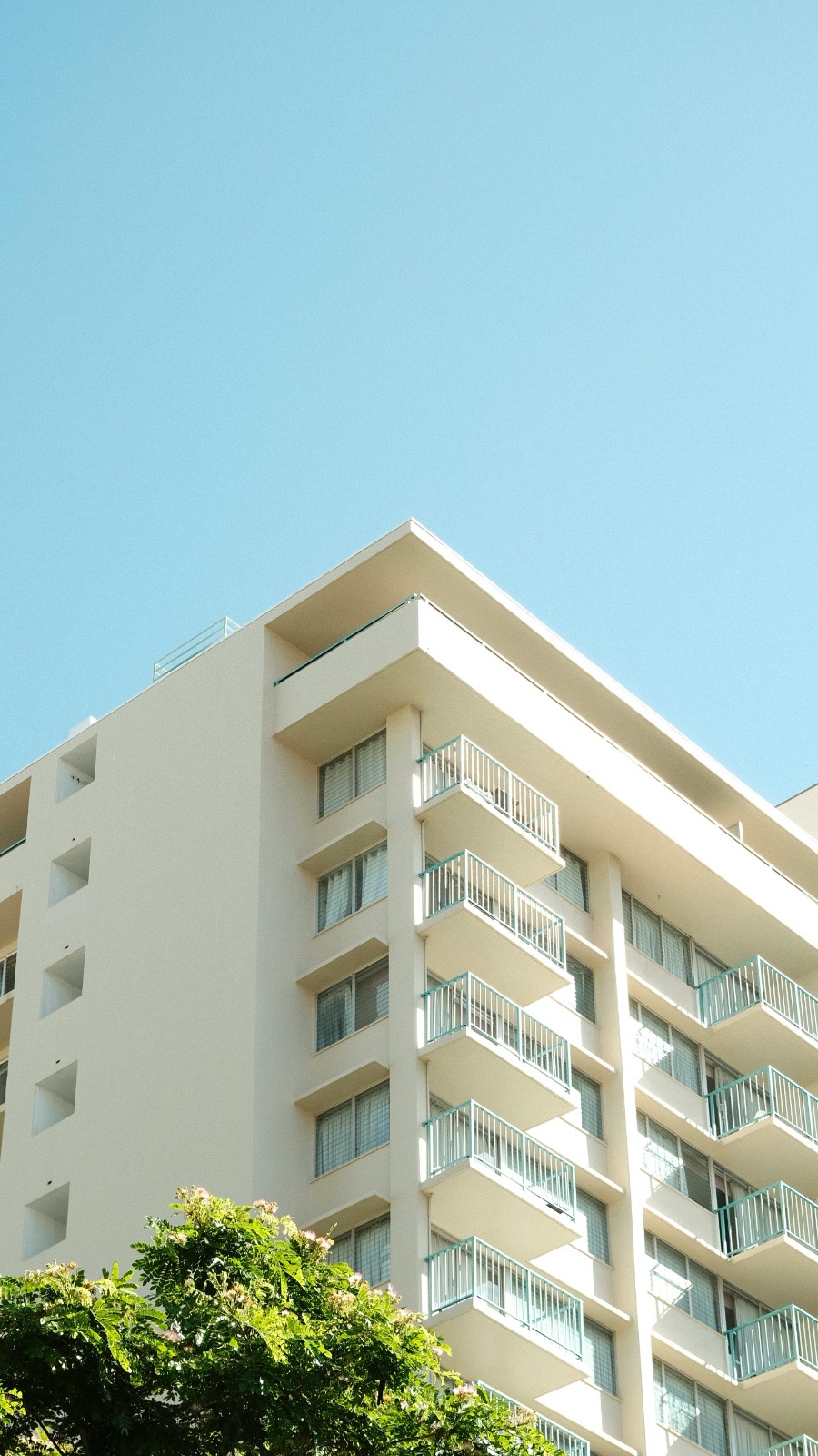 Global Yönetim ekibi